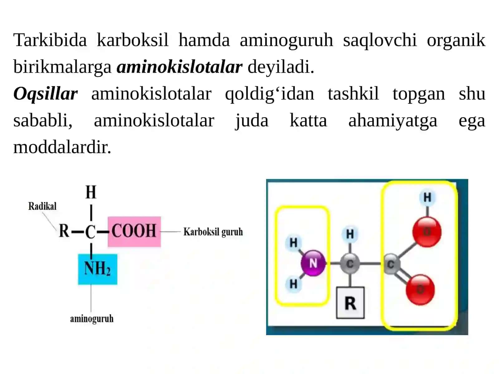 Aminokislotalar tuzilishi, xossalari. Peptidlar va oqsillar. Nuklein kislotalarning tuzilishi, klassifikatsiyasi va nomenklaturasi 2