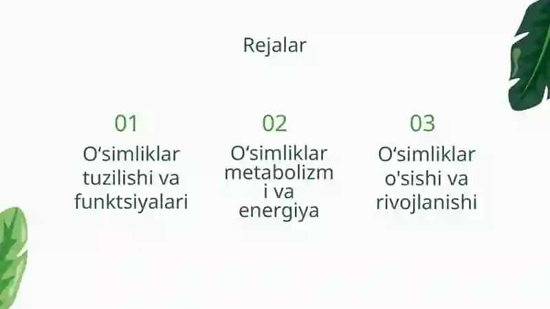 O'simliklar anatomiyasi va fiziologiyasi 2