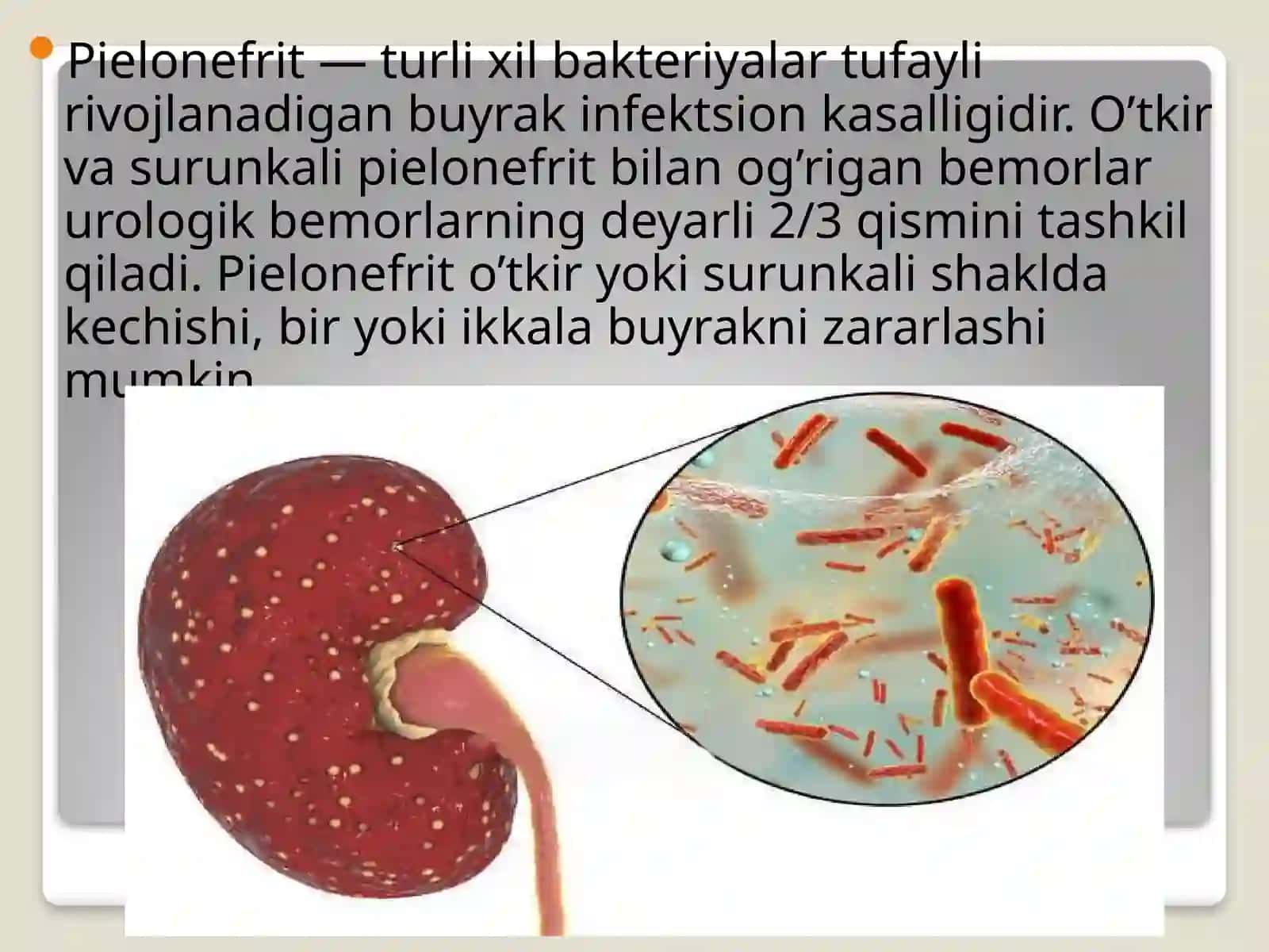 O`tkir va surun kalipi pielonefrit 2