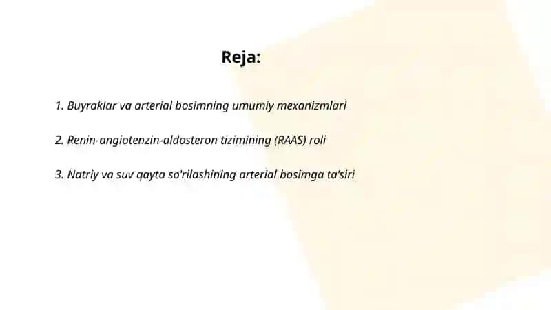 Arterial bosimning boshqariluvida buyraklarning roli 2