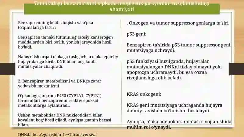 Tamakidagi benzapirenni o’pkada neoplastik jarayonlar rivojlanishidagi ahamiyati 2