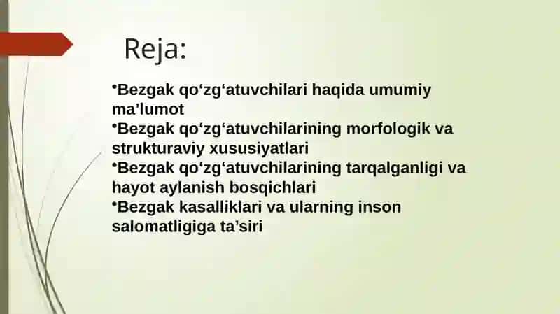 Bezgak qo‘zg‘atuvchilari morfologiyasi, strukturasi, tarqalganligi, keltirib chiqaruvchi kasalliklari 2