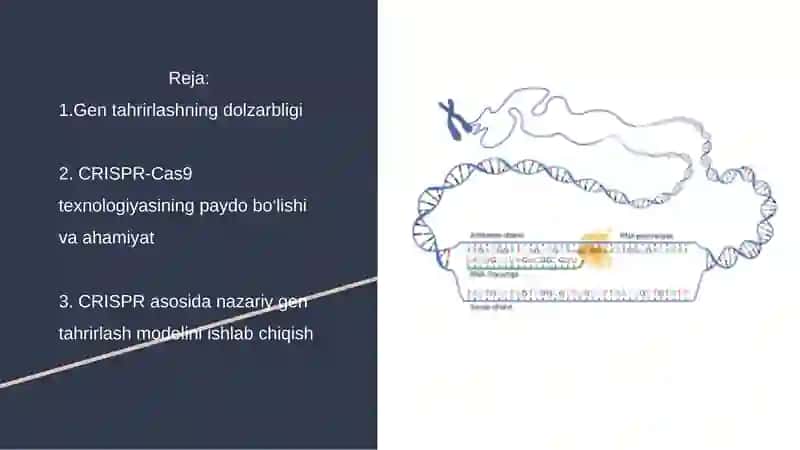CRISPR texnologiyasi asosida nazariy gen tahrirlash loyihasini yaratish 2