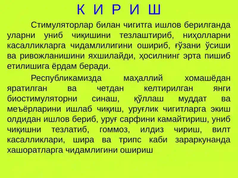 БИТИРУВ МАЛАКАВИЙ ИШИ 2