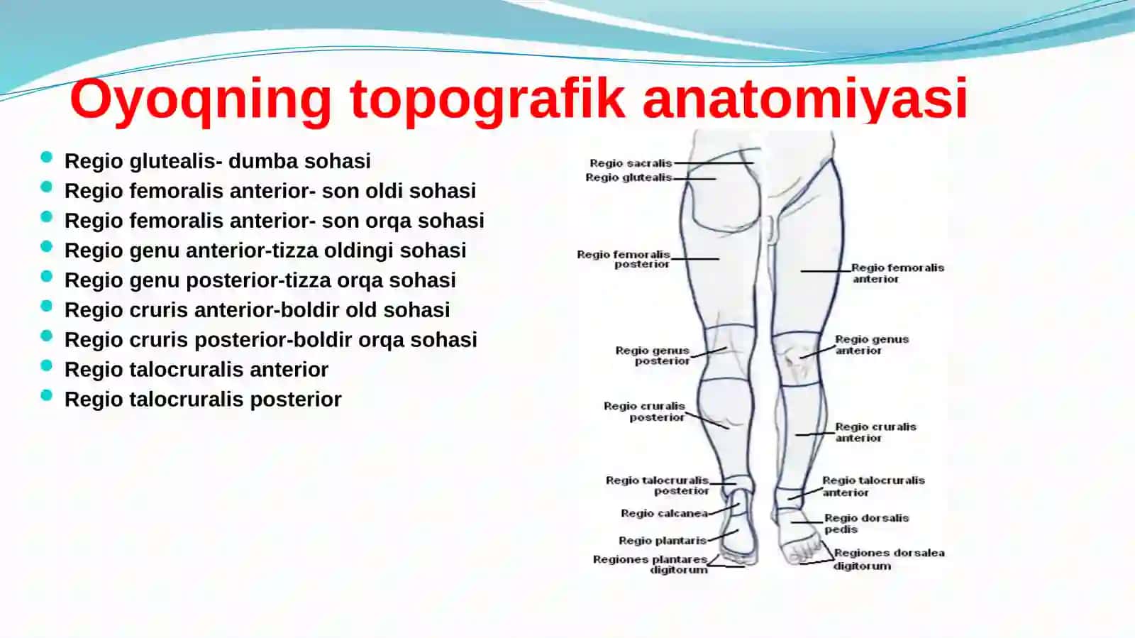 So nsohasi 2