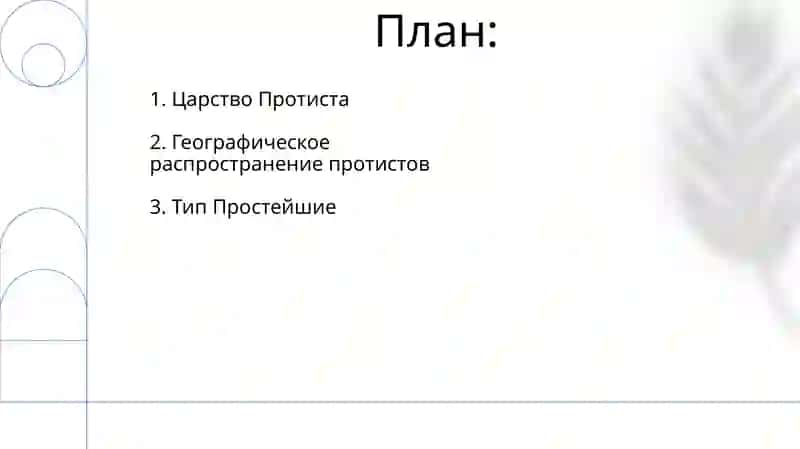 Тип Простейшие 2