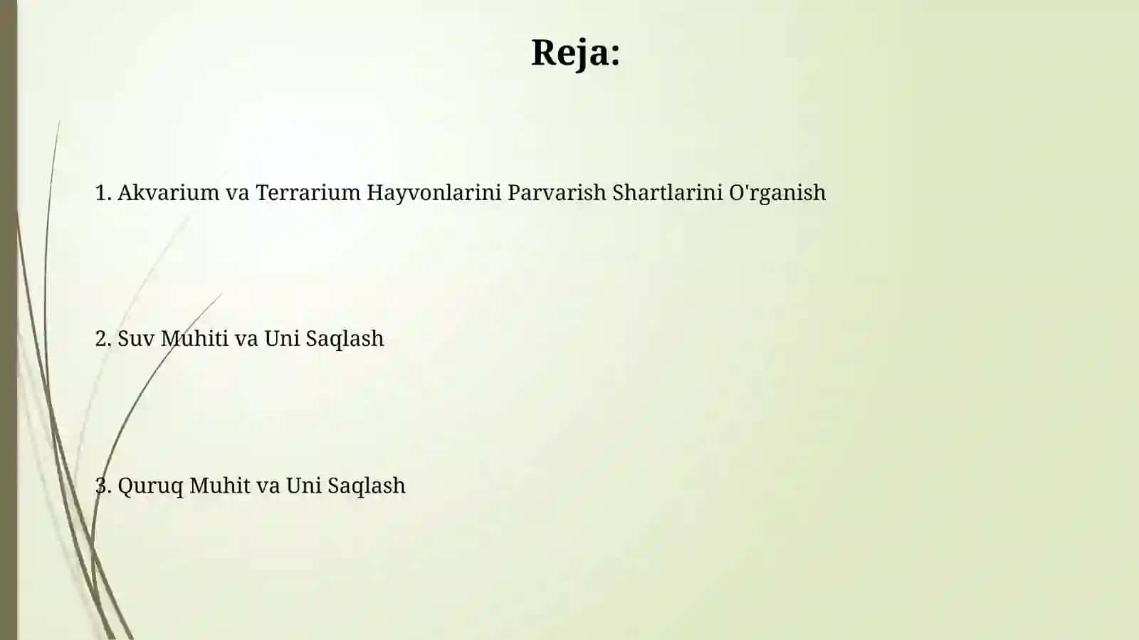 Akvariumda va terrariumda yashovchilarni parvarishlashning shartsharoitiniórganish 2