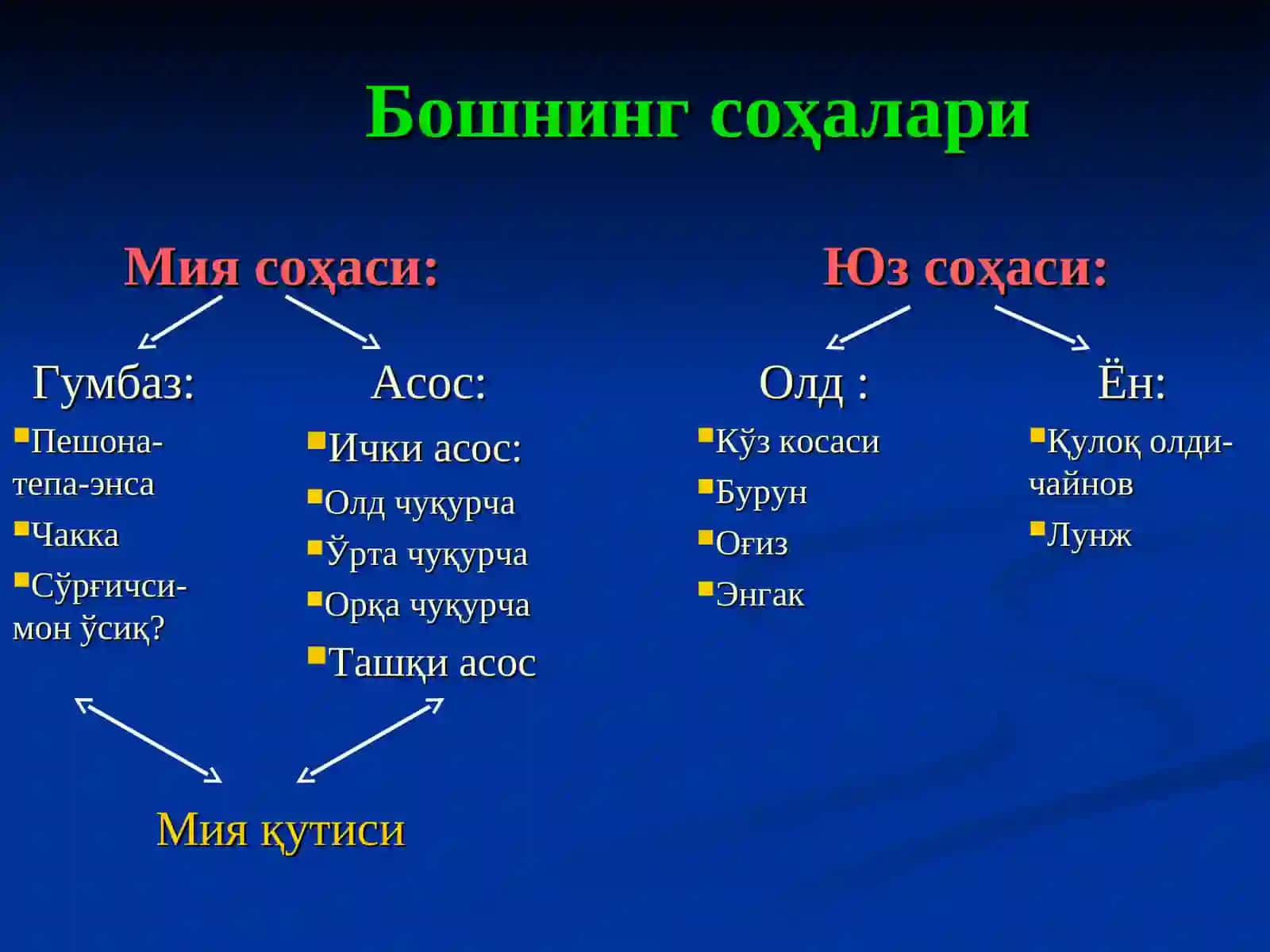 КАЛЛА ВА БОШ МИЯНИНГ ЖАРРОҲЛИК АНАТОМИЯСИ 2
