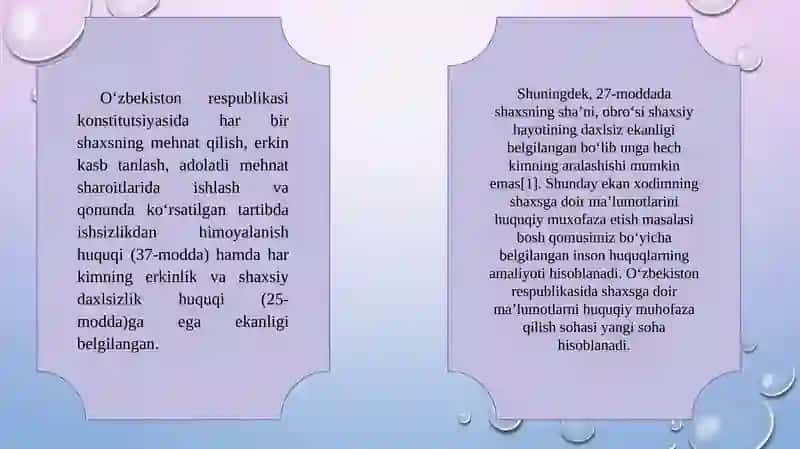 Xodimlarning Shaxsga Doir Ma'lumotlarni Himoq Qilish Tushunchasi va Kafolatlari 2