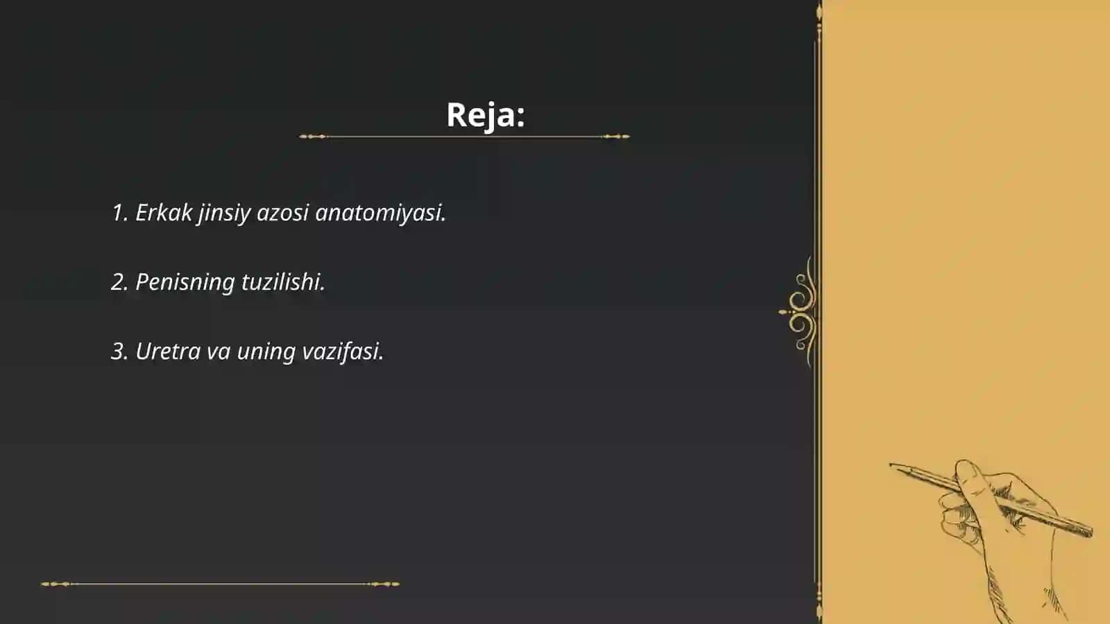 Erkak jinsiy azosi anatomiyasi va fizalogiyasi 2