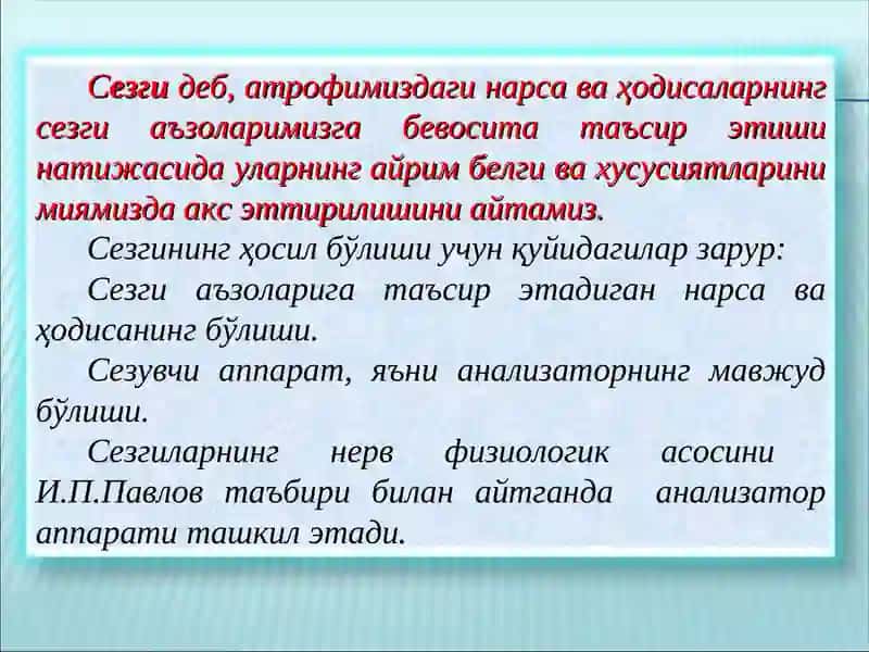 Сезги 2