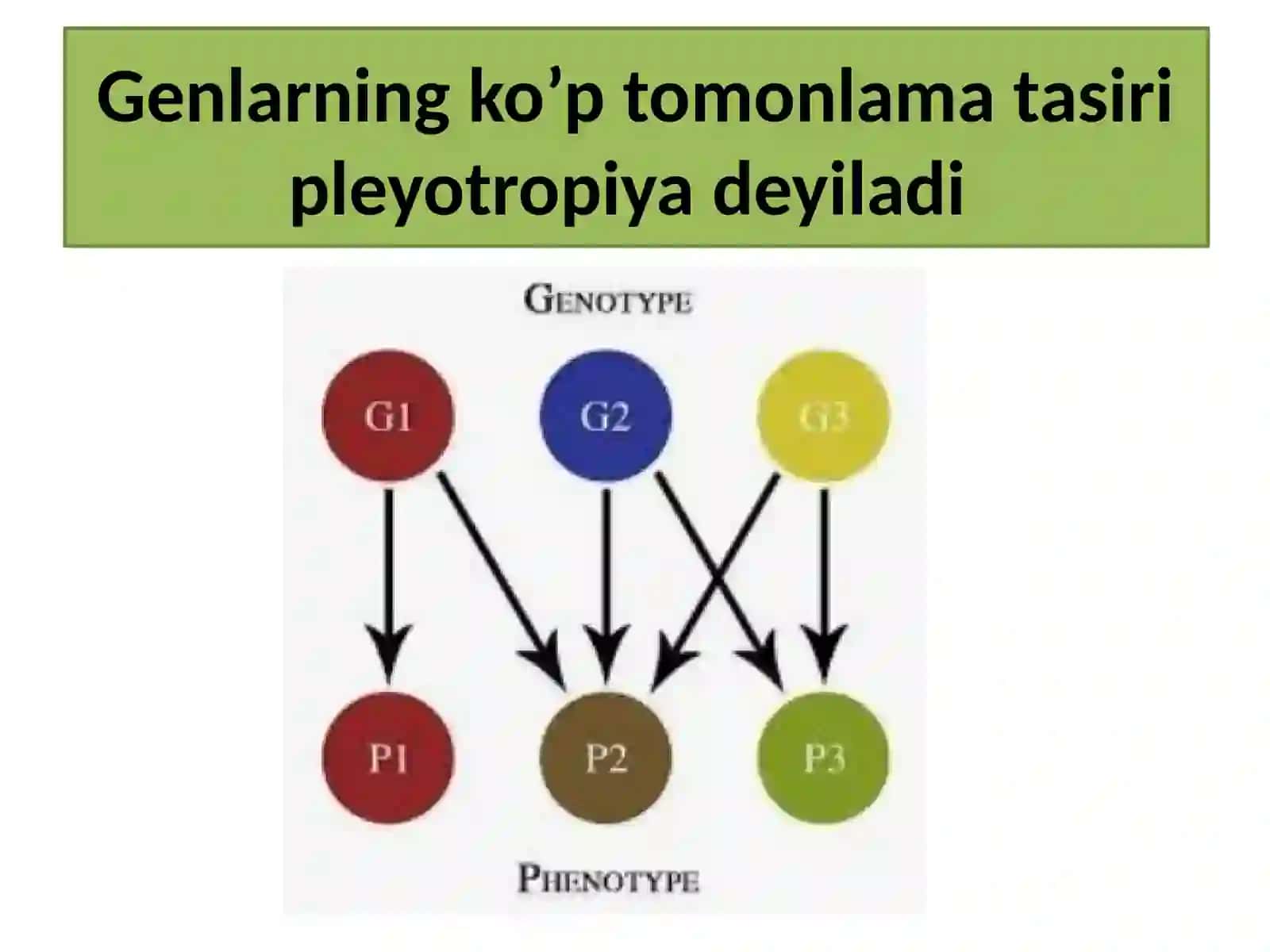 Genlarning pleyetrop ta’siri qonuniyatlarini tahlil qilish 2