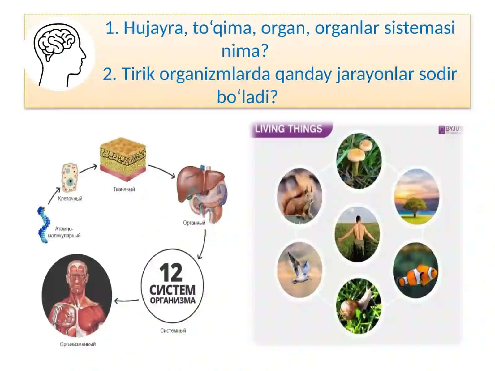 MAVZU.TIRIK ORGANIZMLARNING TUZILISHI 2