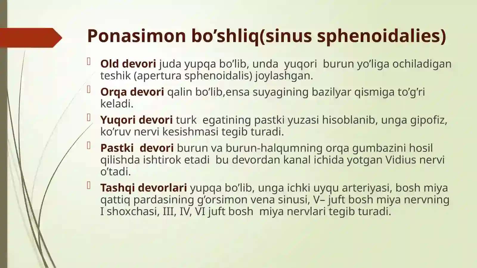 Burun yondosh bo'shliqlari.Sfenoidit 2