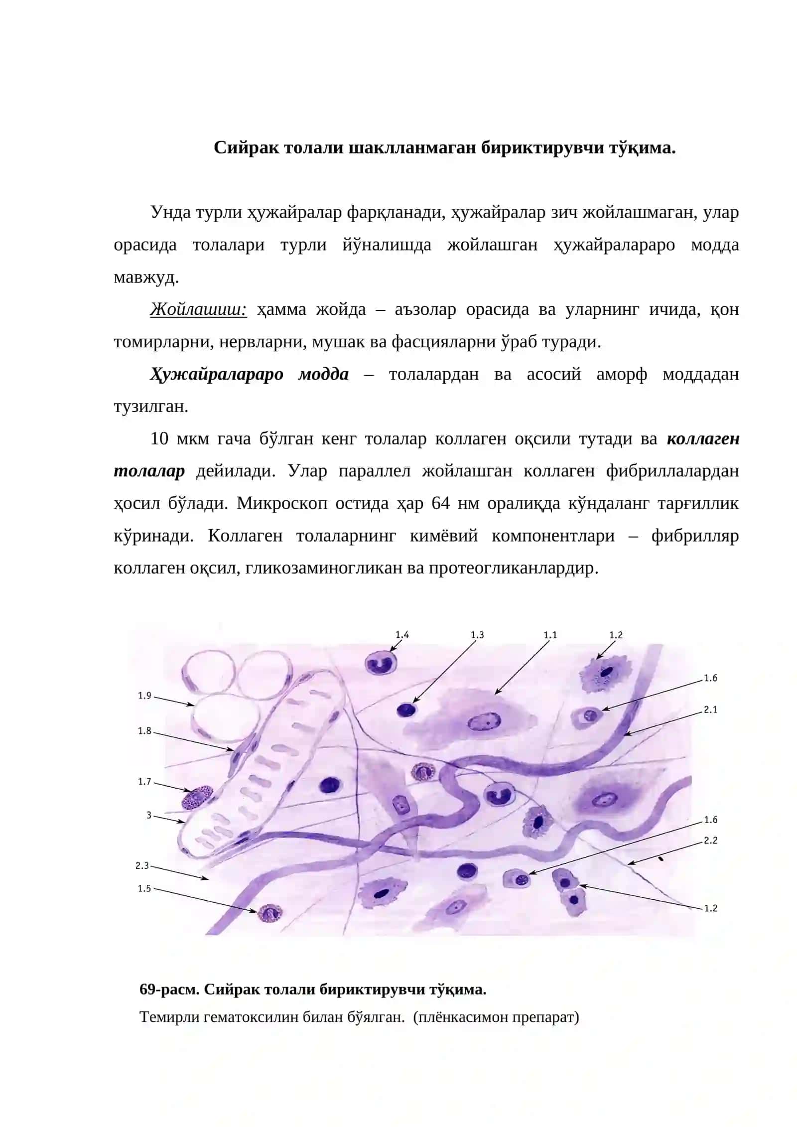 Бириктирувчи тўқималар. Толали ва махсус тўқималар 2