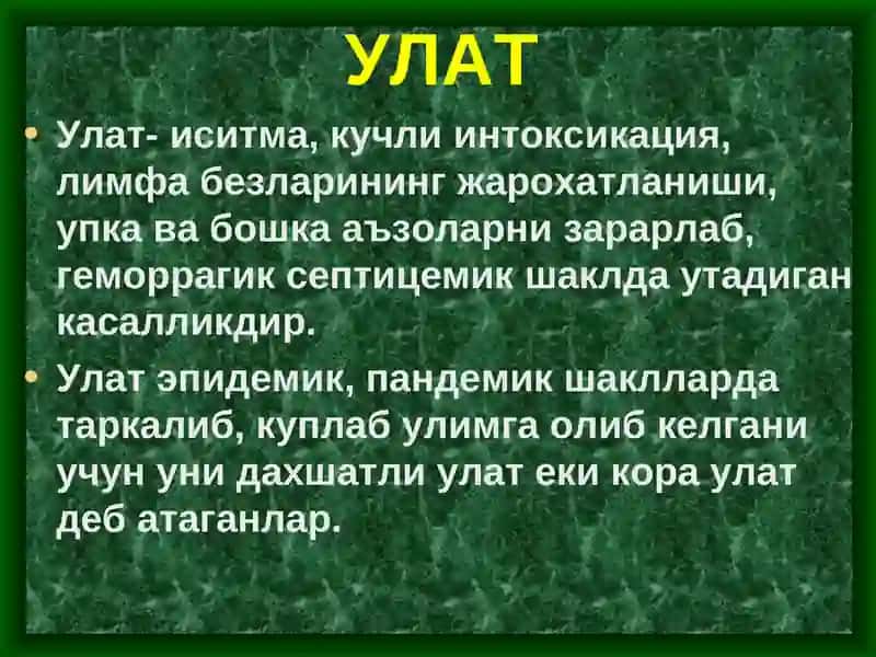 Улат 2