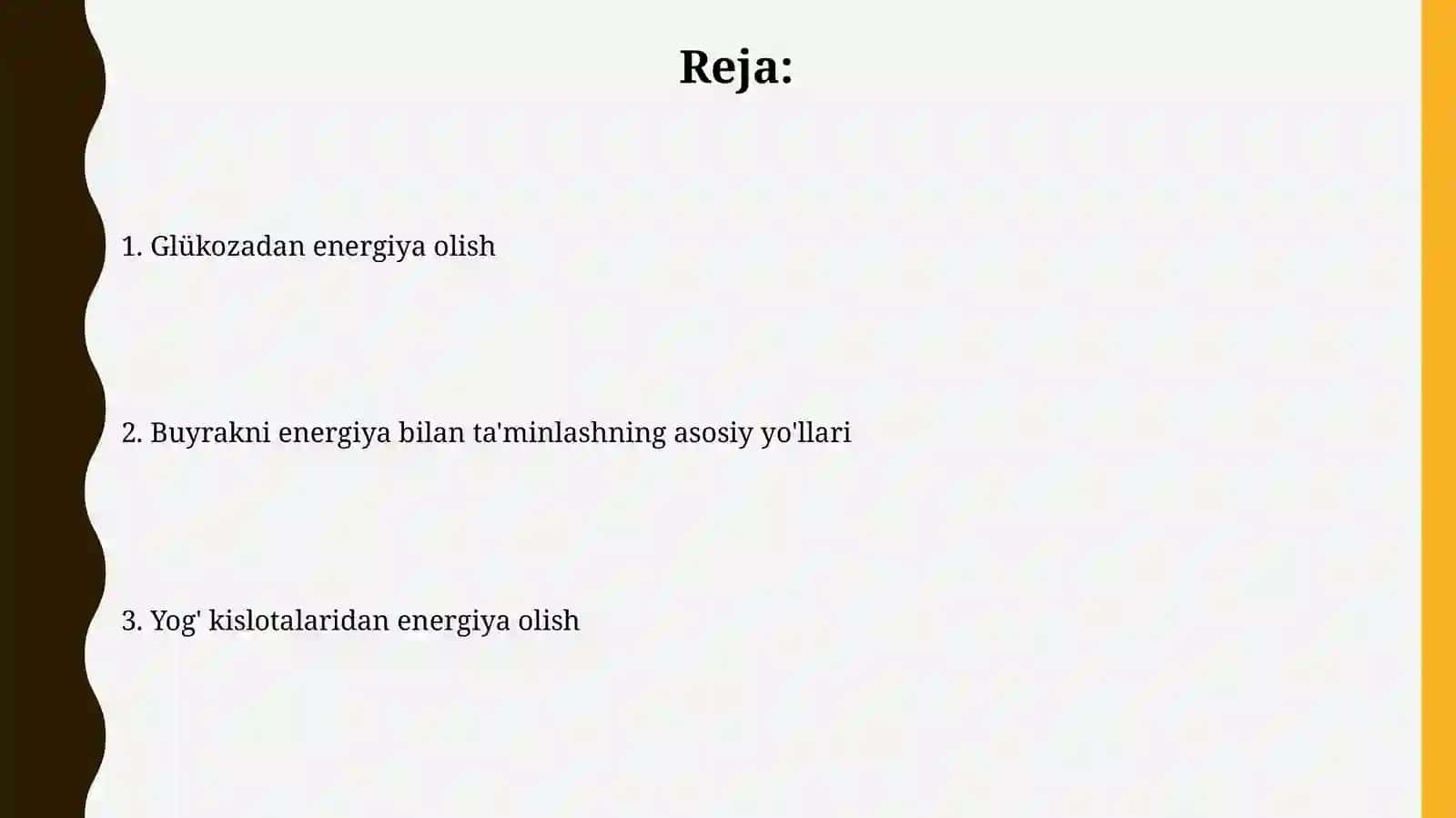 Buyrakni energiya bilan ta'minlashning asosiy yo'llari 2