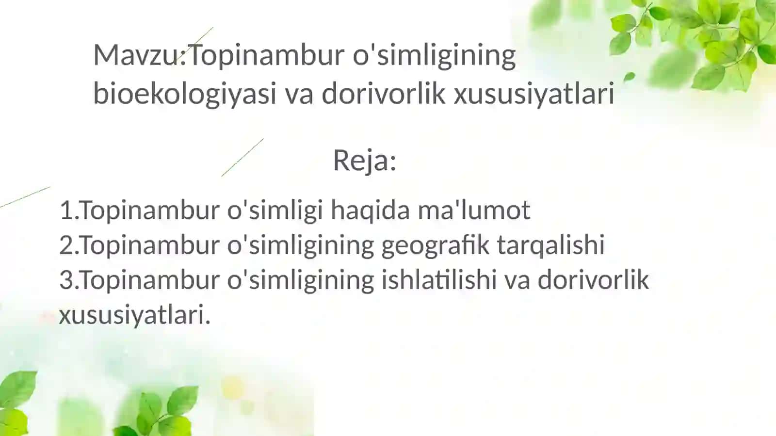 Topinamburo'simligining bioekologiyasi va dorivoro'lik xususiyatlari 2