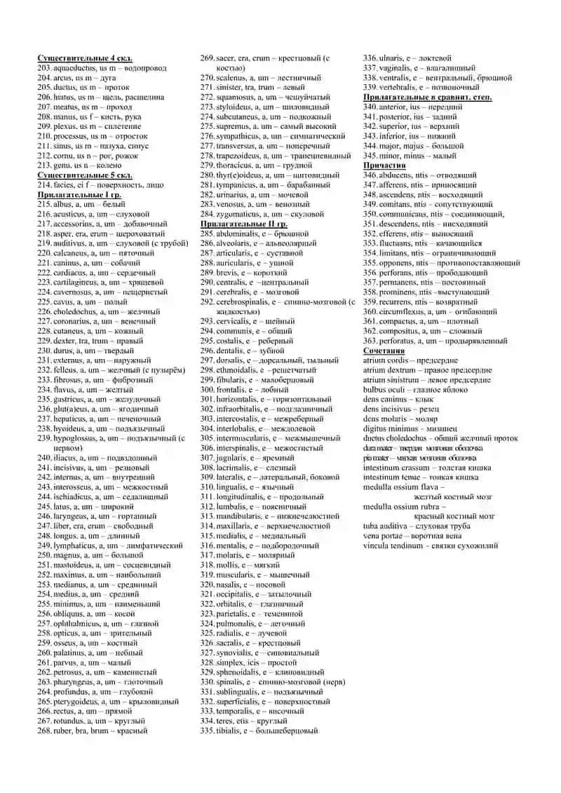 Лексический минимум по анатомической терминологии 2