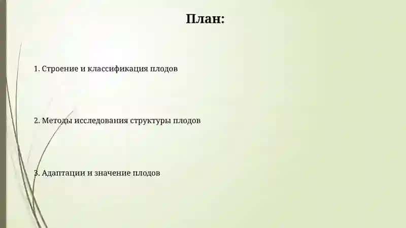 Строение и классификация плодов 2