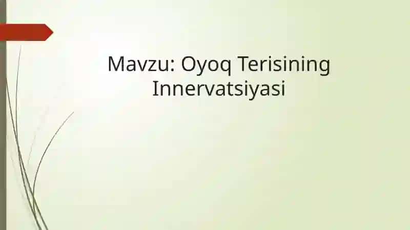 Oyoq Terisining Innervatsiyasi 2