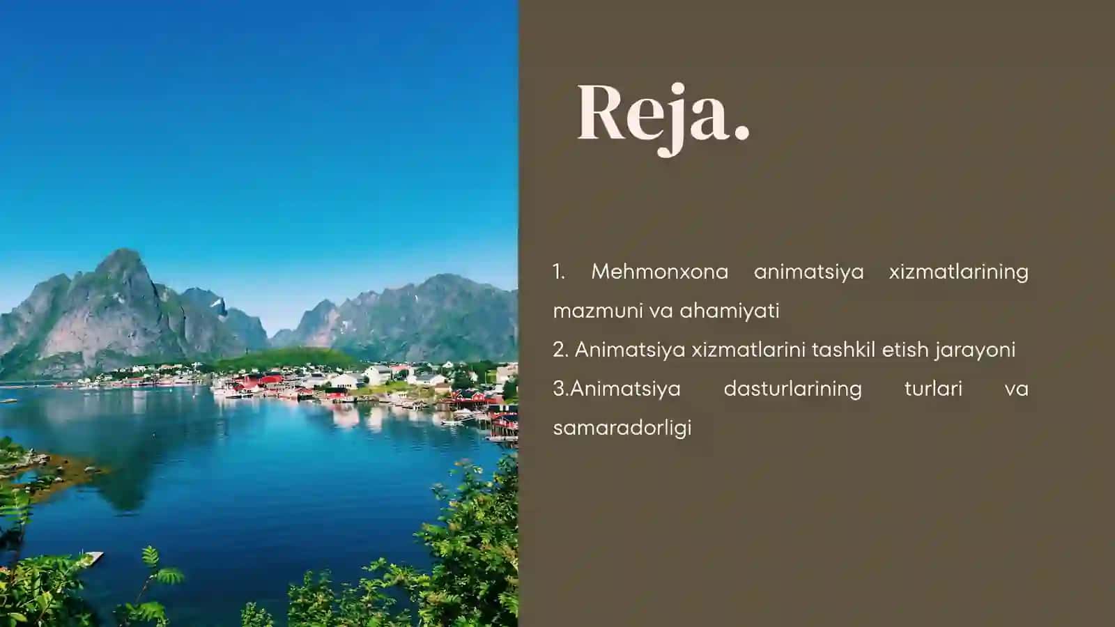 Mehmonxona animatsiya xizmatlari 2