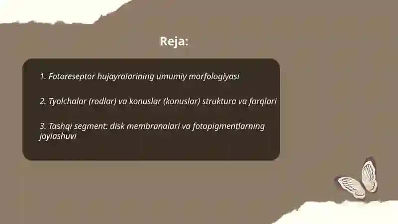 Fotoretseptsiyaning morfologik asoslari 2