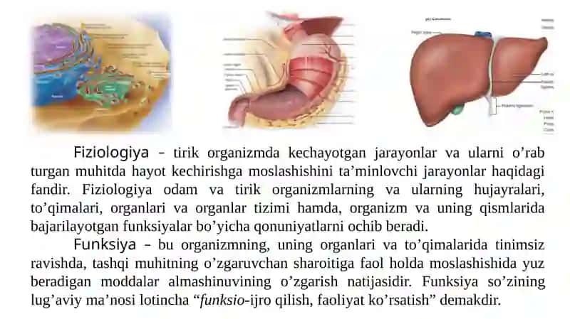 Fiziologiya va Sport Fiziologiyasi 2