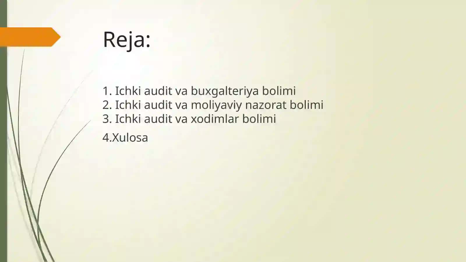 Ichki audit va buxgalteriya bo'limi 2