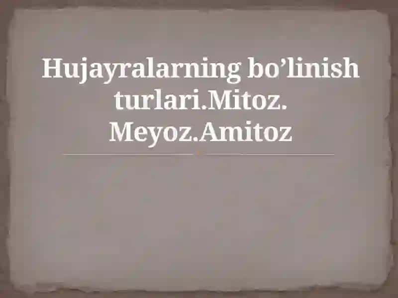 Hujayralarning bo’linish turlari.Mitoz. Meyoz.Amitoz 2