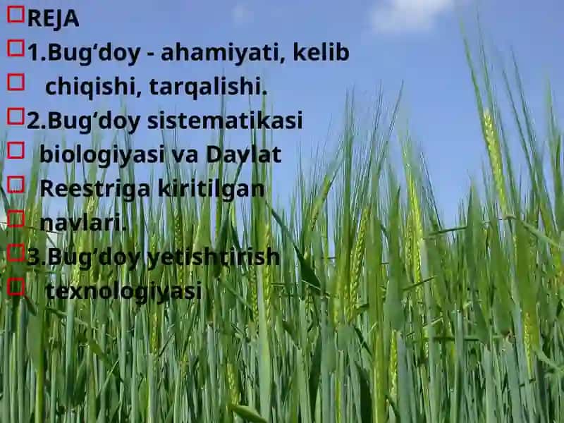 BUG‘DOY BIOLOGIYaSI VA YeTIShTIRISh TEXNOLOGIYaSI 2