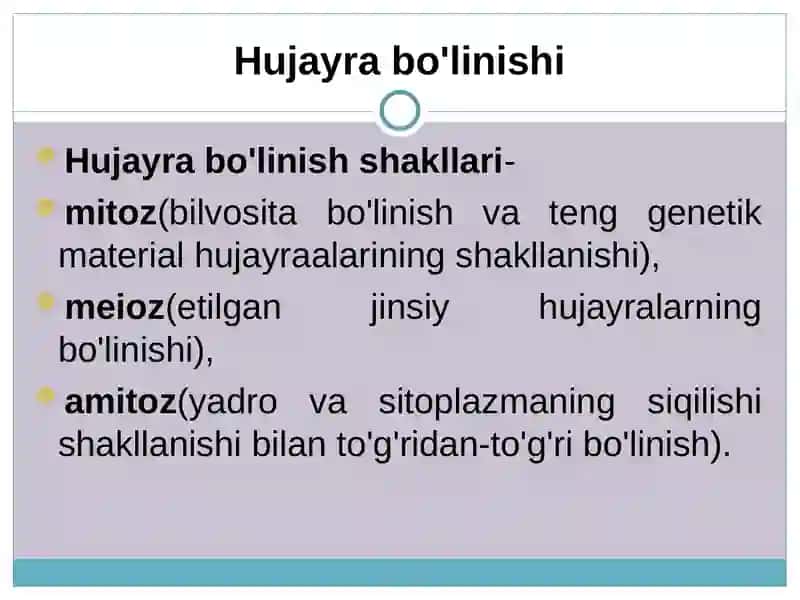Hujayra bo'linishi 2