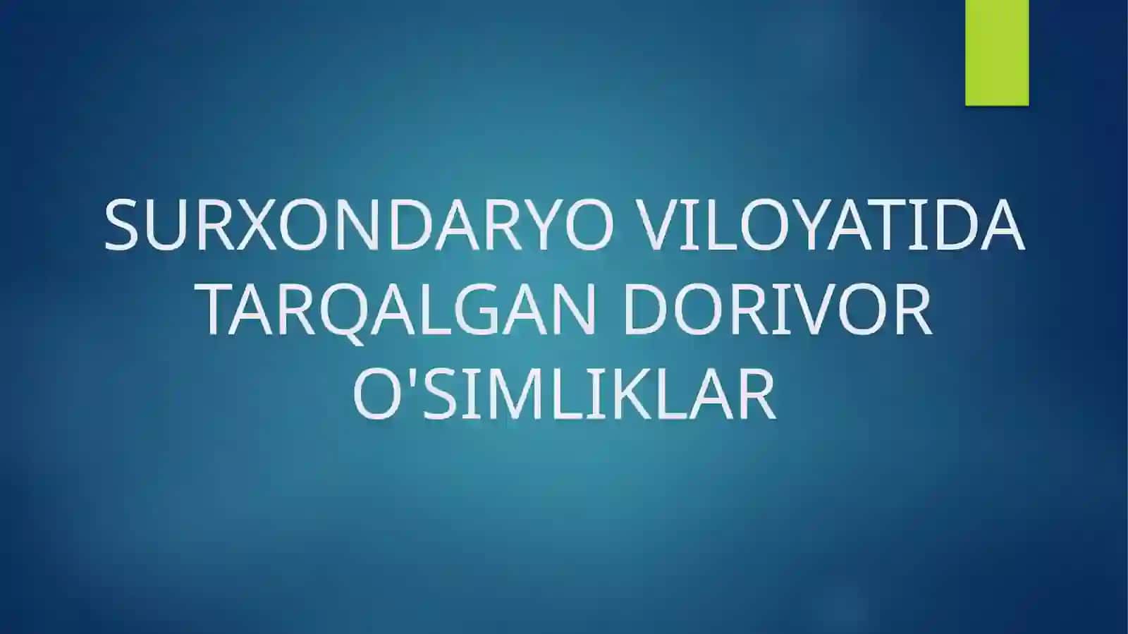 BERDIQULOV MUSURMONNING DORIVOR O’SIMLIKLAR FANIDAN TAYYORLAGAN TAQDIMOTI 2