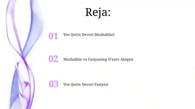Yon Qorin Devori Mushaklari 2