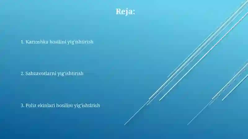 Kartoshka hosilini yig'ishtirish 2