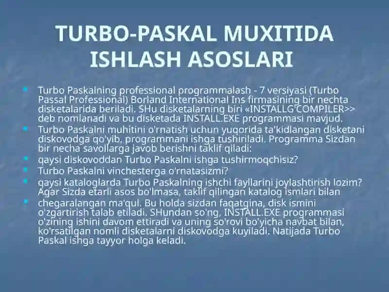 Turbo Paskal Professional 2