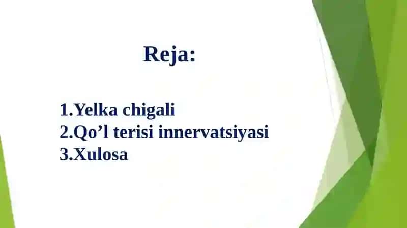 Yelka chigali qo'l terisining innervatsiyasi 2
