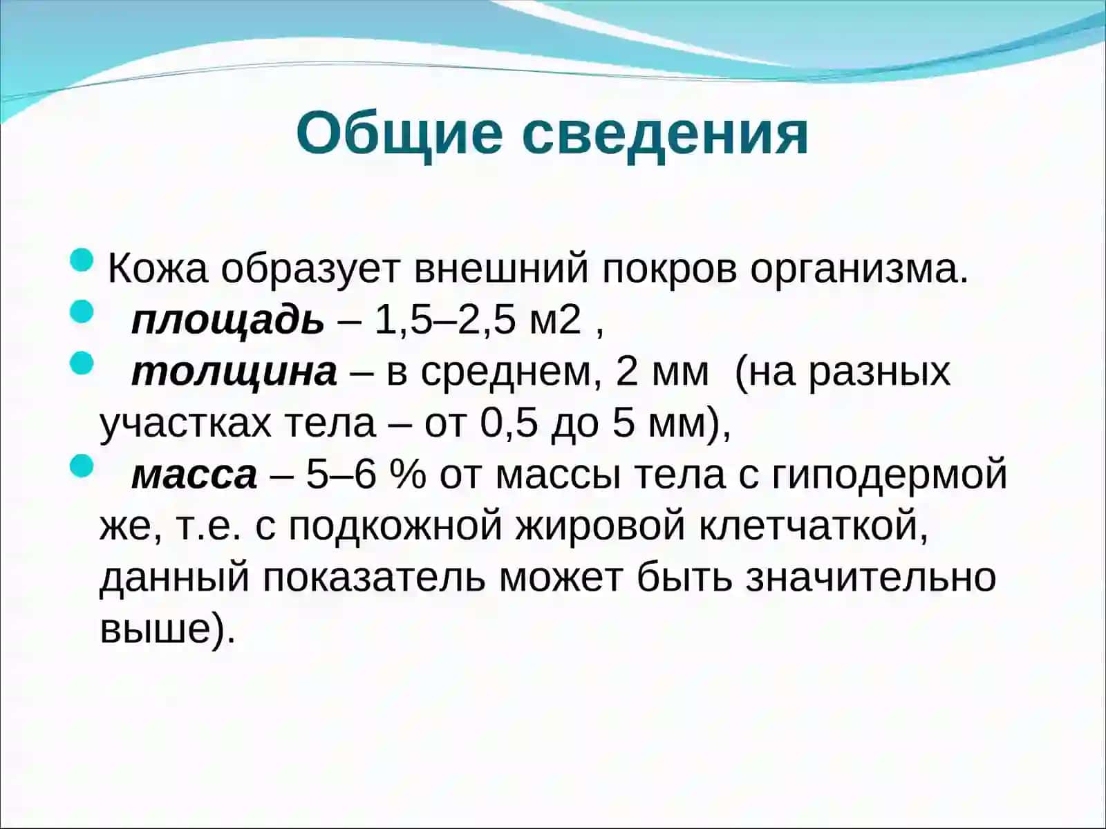Кожа 2