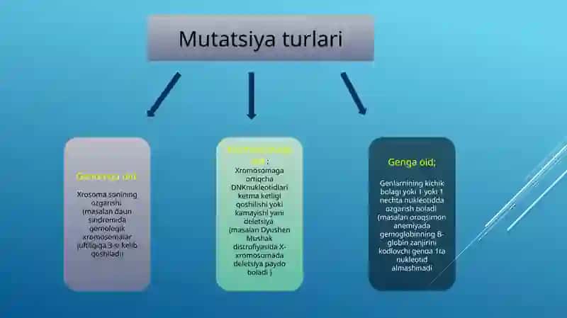 Mutatsiyalar 2