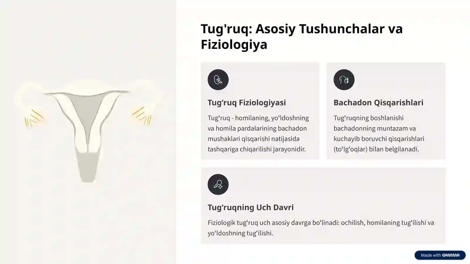 Fiziologik Tugʻruq: Tugʻruq Davrlari 2