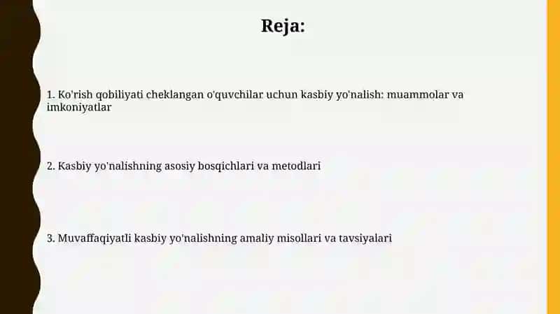 Ko'rish qobiliyati cheklangan o'quvchilar uchun kasbiy yo'nalish 2