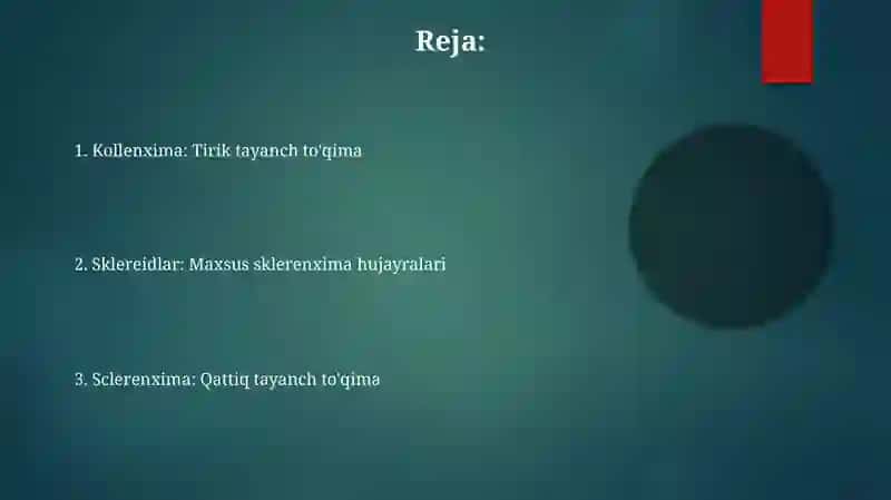 Sklerenxima va kollenxima 2
