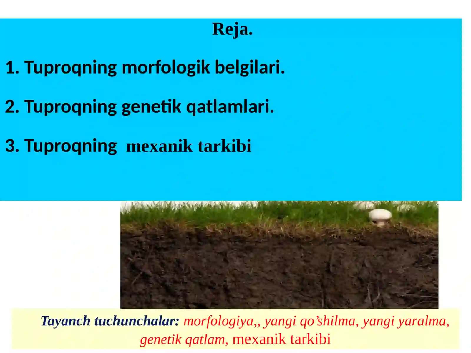 “Tuproqning morfologik belgilari va tuzilishi” 2