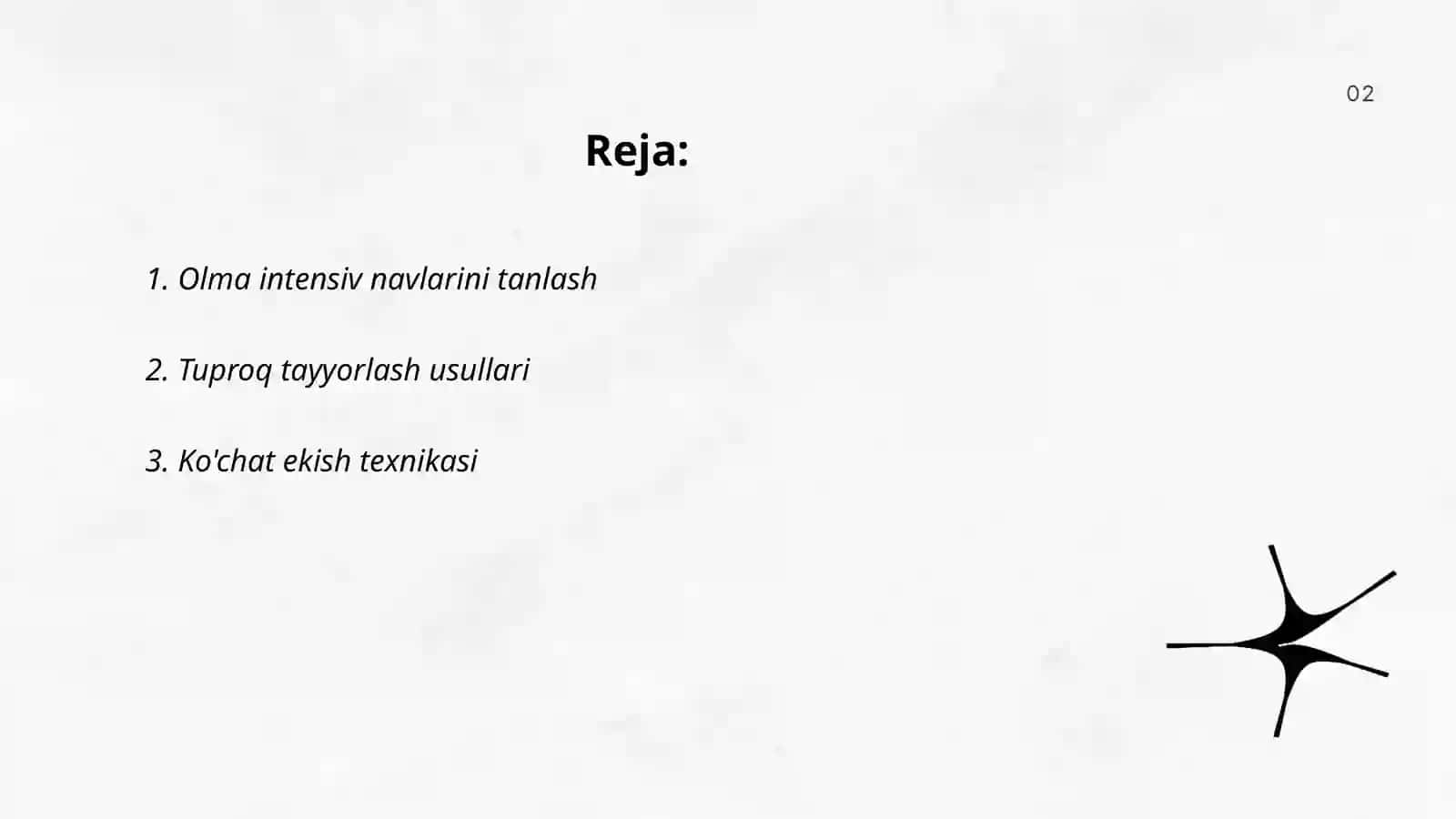 Olmani Intensiv navlarini parvarishlash texnologiyasi 2