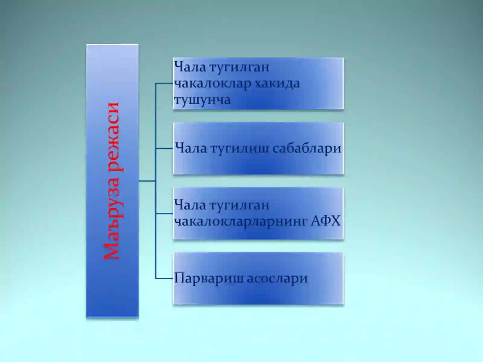 Чала тугилган чакалоклар 2