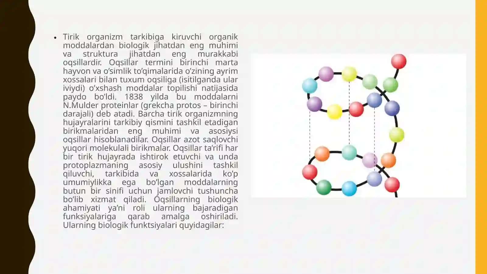 Odam organizmida oqsillarning biokimyoviy o‘zgarishi 2