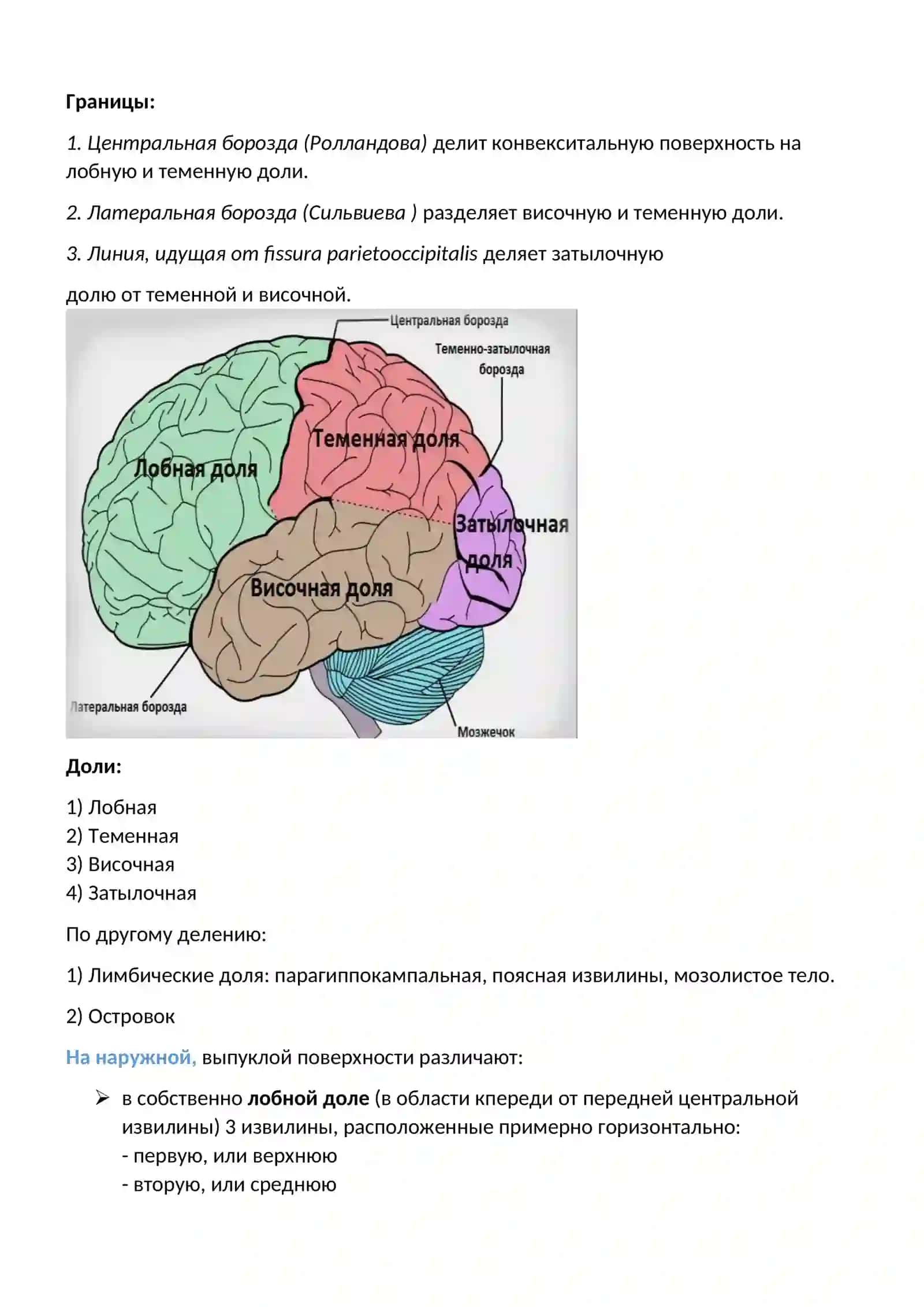 Высшие и психические функции и их нарушения 2