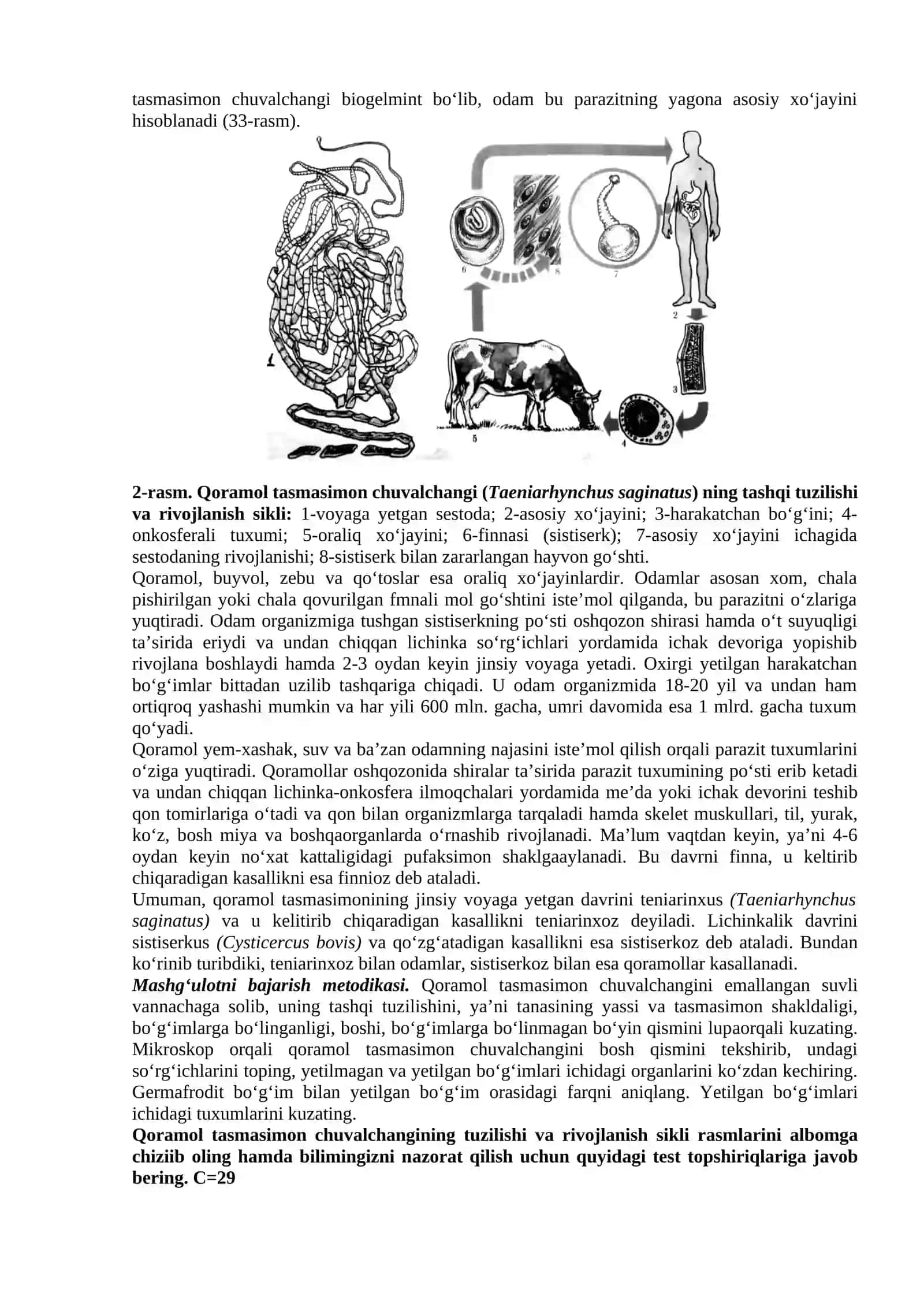 Qoramol (Taeniarhynchus saginatus) va cho'chqa (Taenia solium) tasmasimon chuvalchanglarning tuzilishi va rivojlanishi 2