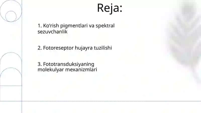 Fotoresepsiyaning morfologik asoslari 2