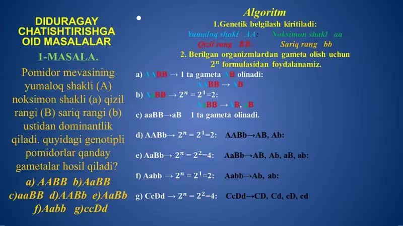 Biologiya fanida Diduragay chatishtirishga oid masalalar yechish 2